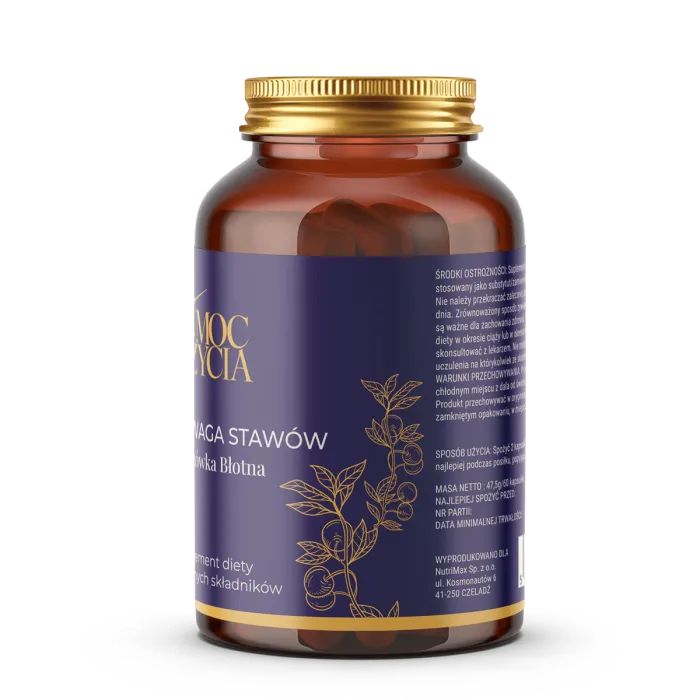 Równowaga Stawów - suplement diety - 60 kapsułek - obrazek 2