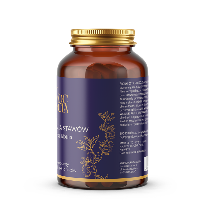 Równowaga Stawów - suplement diety - 60 kapsułek - obrazek 2